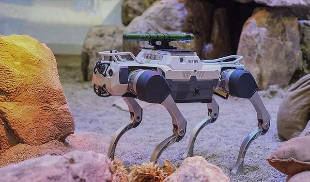 BİTES представила на IDEF 2025 рішення із використання роботів-собак